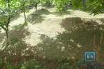 Kuca, Jagodina, prodaja, 279m2, 160000e, id1448146