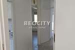 Trosoban stan, Beograd, Zemun Polje, izdavanje, 47m2, 500e, id1448198