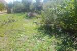 Kuca, Beograd, Dobanovci, prodaja, 73m2, 83500e, id1448240