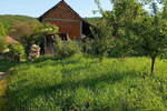 Kuca, Boljevac, Krivi Vir, prodaja, 75m2, 20000e, id1448394