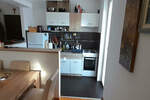Dvosoban stan, Beograd, Lekino Brdo, izdavanje, 45m2, 550e, id1448422