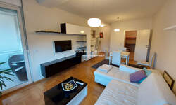 Dvosoban stan, Beograd, Južni Bulevar, izdavanje, 52m2, 800e, id1448429