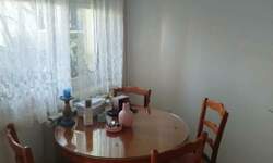 Jednosoban stan, Beograd, Blok 62, izdavanje, 36m2, 350e, id1448453