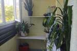 Jednosoban stan, Beograd, Blok 62, izdavanje, 36m2, 350e, id1448453
