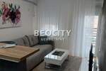 Dvosoban stan, Novi Sad, Nova Detelinara, izdavanje, 38m2, 500e, id1448480