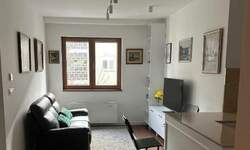 Jednoiposoban stan, Beograd, Hram Sv. Save, izdavanje, 36m2, 750e, id1448519
