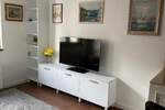 Jednoiposoban stan, Beograd, Hram Sv. Save, izdavanje, 36m2, 750e, id1448519