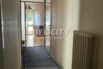 Trosoban stan, Beograd, Banovo Brdo, izdavanje, 60m2, 500e, id1448566