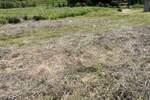 Plac, Beočin, prodaja, 794m2, 75000e, id1448603