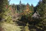 Plac, Žabljak, prodaja, 17803m2, 285000e, id1448605