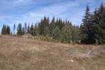 Plac, Žabljak, prodaja, 17803m2, 285000e, id1448605