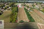 Plac, Beograd, Skela, prodaja, 0m2, 50000e, id1448703