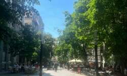 Trosoban stan, Beograd, Topličin venac, izdavanje, 80m2, 1400e, id1448765