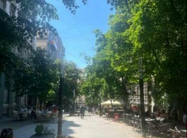 Trosoban stan, Beograd, Topličin venac, izdavanje, 80m2, 1400e, id1448765