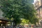 Trosoban stan, Beograd, Topličin venac, izdavanje, 80m2, 1400e, id1448765