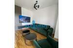 Dvosoban stan, Beograd, Hala Pionir, izdavanje, 50m2, 850e, id793706