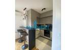 Dvosoban stan, Beograd, Hala Pionir, izdavanje, 50m2, 850e, id793706