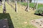 Kuca, Inđija, prodaja, 60m2, 75000e, id1448806