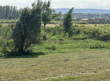 Plac, Novi Sad, Sadovi, prodaja, 0m2, 2250000e, id1448945