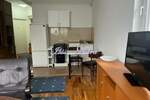 Garsonjera, Beograd, Mirijevo, izdavanje, 26m2, 260e, id1430507