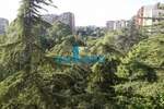 Dvosoban stan, Beograd, Blok 70a, izdavanje, 37m2, 600e, id873724