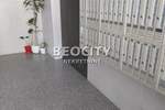 Dvosoban stan, Beograd, Zemun (save Kovačevića), izdavanje, 48m2, 500e, id1449027