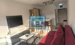 Stan, Paraćin, izdavanje, 37m2, 250e, id788945