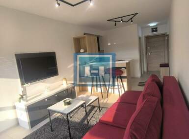 Stan, Paraćin, izdavanje, 37m2, 250e, id788945