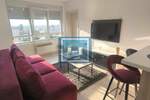 Stan, Paraćin, izdavanje, 37m2, 250e, id788945