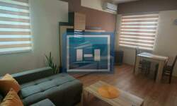 Jednosoban stan, Paraćin, izdavanje, 30m2, 170e, id1449097