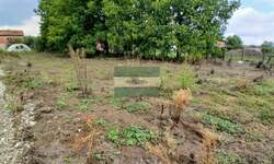 Plac, Jagodina, prodaja, 0m2, 13000e, id1449121