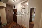 Dvosoban stan, Novi Sad, Liman 4, izdavanje, 43m2, 530e, id1449129