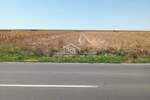 Plac, Beograd, Batajnica, prodaja, 0m2, 265000e, id1448583