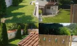 Kuca, Svrljig, prodaja, 120m2, 45000e, id1449178