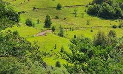 Plac, Knjaževac, prodaja, 1612m2, 17900e, id1449259