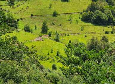 Plac, Knjaževac, prodaja, 1612m2, 17900e, id1449259