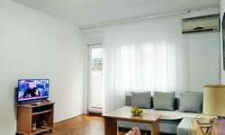 Jednoiposoban stan, Beograd, Botanička bašta, izdavanje, 40m2, 490e, id1449273