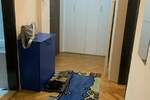 Dvosoban stan, Beograd, Mirijevo, izdavanje, 48m2, 400e, id1449322