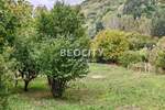 Kuca, Irig, Vrdnik, prodaja, 82m2, 87000e, id1449423