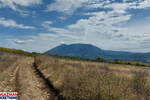 Plac, Boljevac, Krivi Vir, prodaja, 0m2, 7500e, id1449428