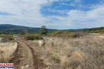 Plac, Boljevac, Krivi Vir, prodaja, 0m2, 7500e, id1449428