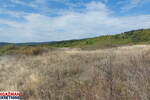 Plac, Boljevac, Krivi Vir, prodaja, 0m2, 7500e, id1449428