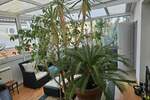 Poslovni prostor / Lokal, Beograd, Olimp, izdavanje, 323m2, 3500e, id1449475