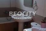 Jednosoban stan, Novi Sad, Centar, izdavanje, 35m2, 330e, id1449550