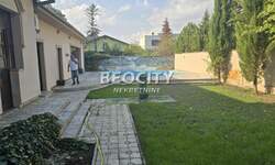 Kuca, Novi Sad, Telep, izdavanje, 450m2, 3500e, id1451261
