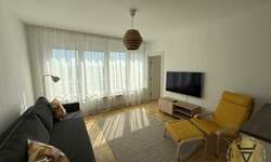 Dvosoban stan, Beograd, Crveni Krst, izdavanje, 44m2, 750e, id1451435
