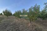 Plac, Jagodina, Siokovac, prodaja, 0m2, 1e, id1451442