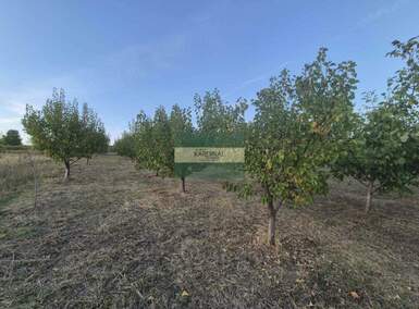 Plac, Jagodina, Siokovac, prodaja, 0m2, 1e, id1451442