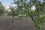 Plac, Jagodina, Siokovac, prodaja, 0m2, 1e, id1451442