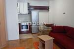 Jednosoban stan, Novi Sad, Centar, izdavanje, 35m2, 320e, id1451445